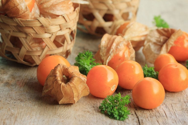 All About Ground Cherries A Comprehensive Guide Healthier Steps