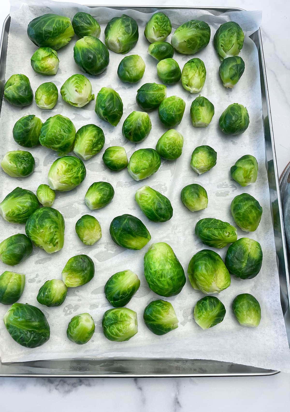 brussels sprout frozen tray on a metal tray on white background