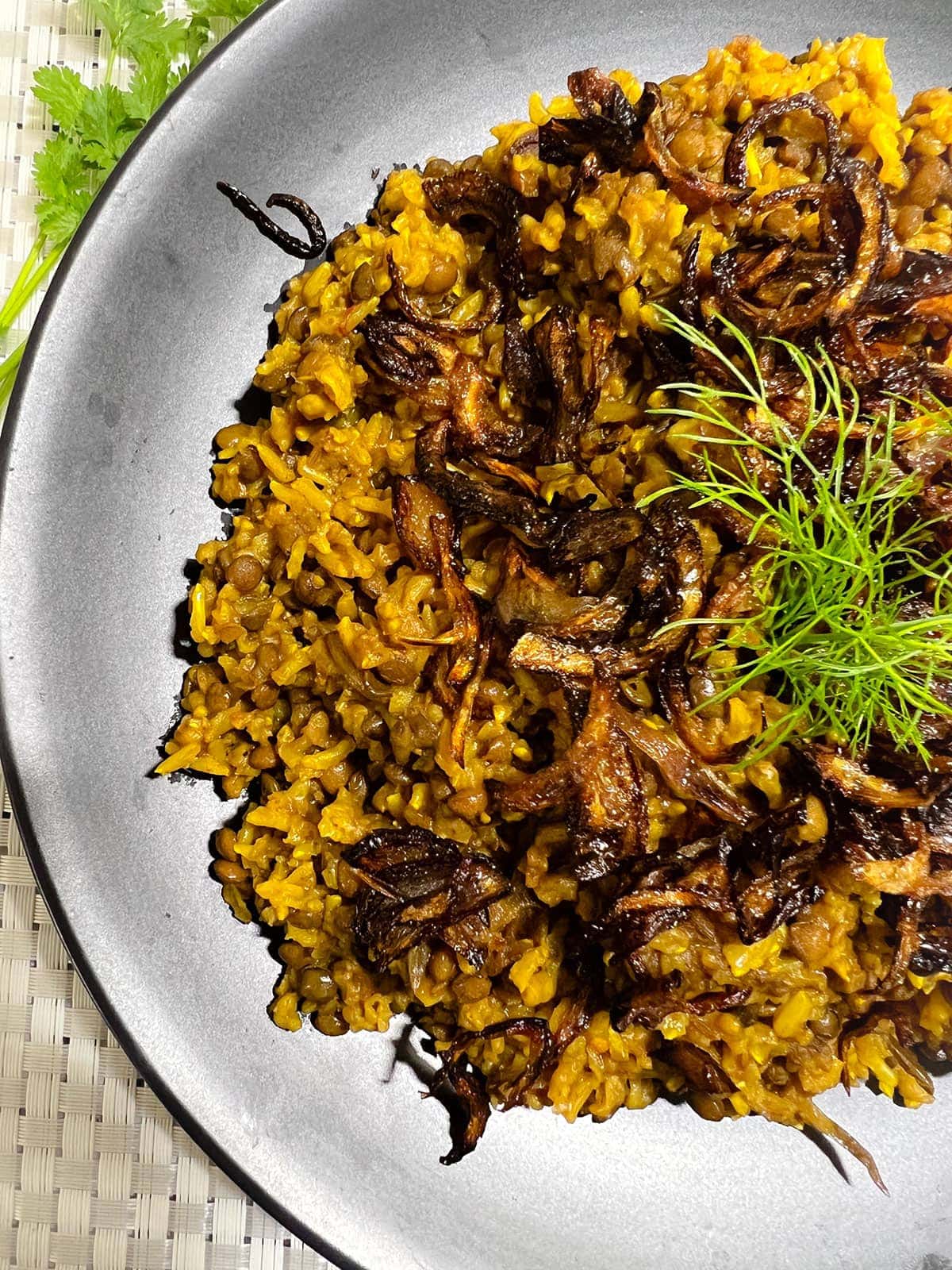 Lebanese mujadara in a white plate on a white background