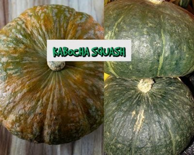 Roasted Kabocha Squash - Healthier Steps