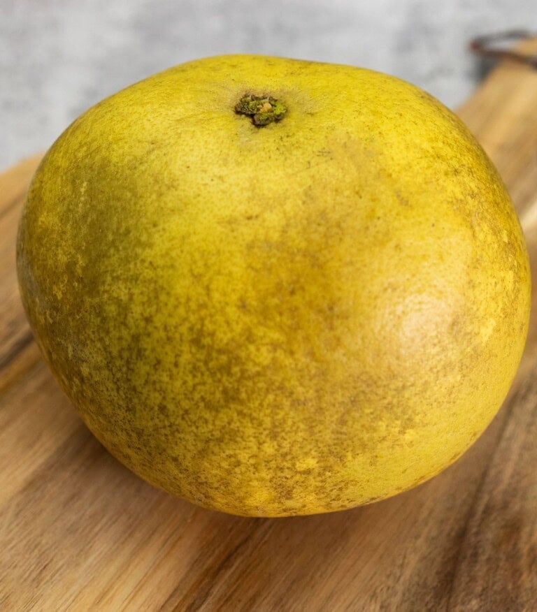 Florida Pomelo