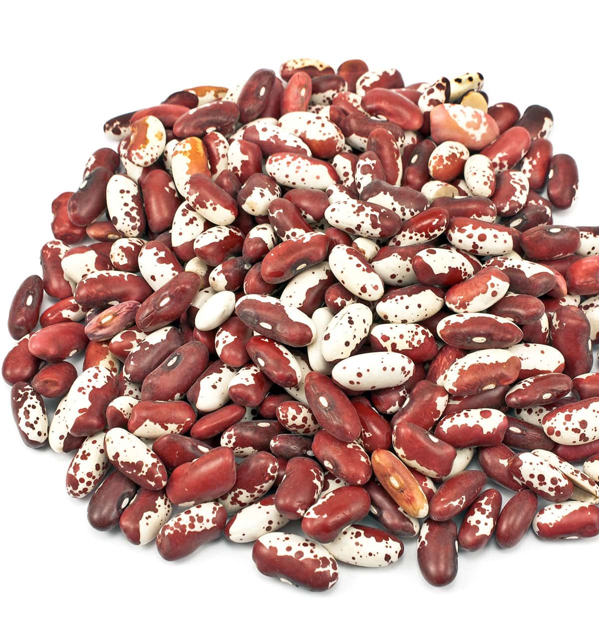 Anasazi beans cheap recipe pressure cooker