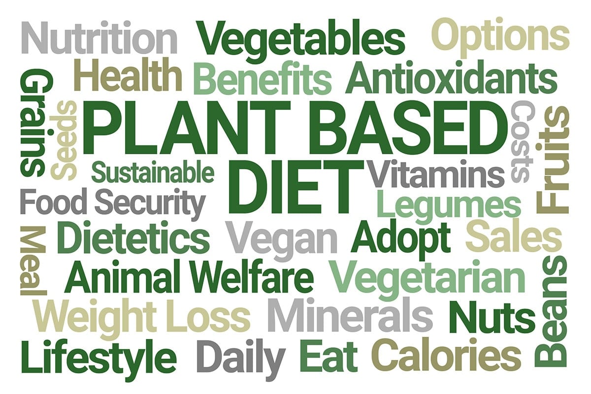 What's The Difference Between Plant Based and Vegan?