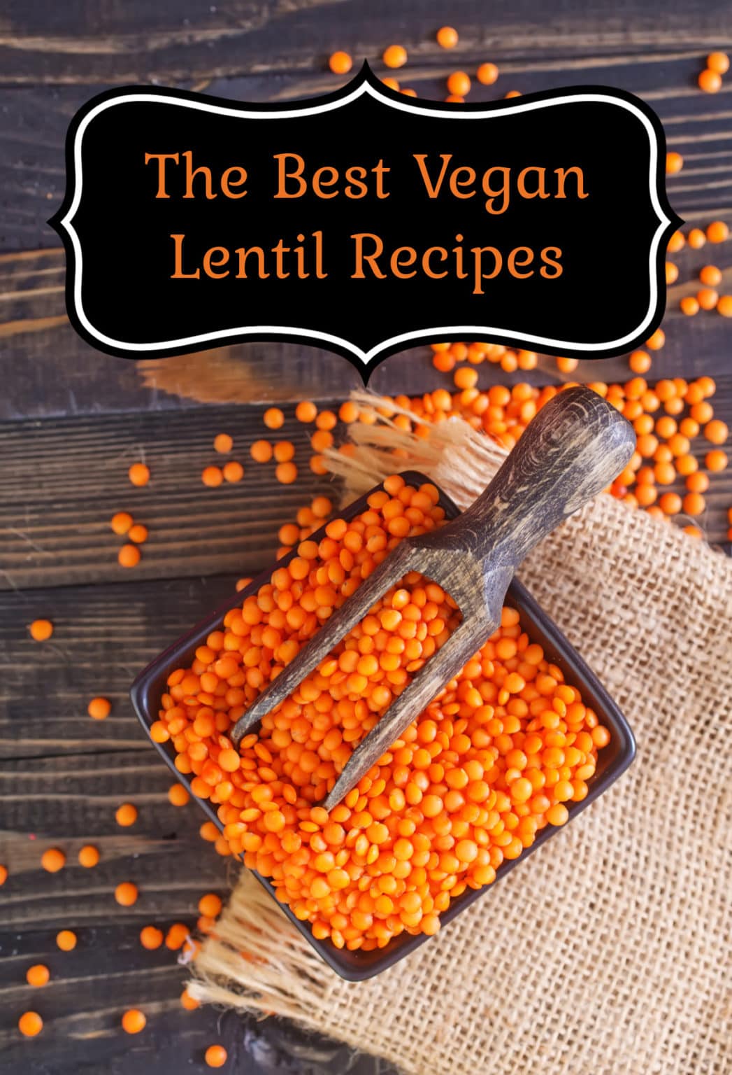 14 Best Vegan Lentil Recipes - Healthier Steps