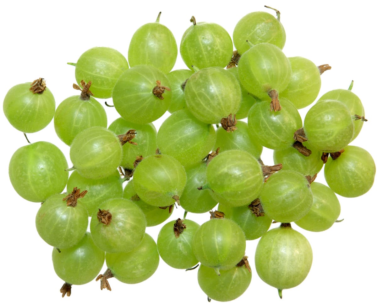 gooseberry fruits on white background