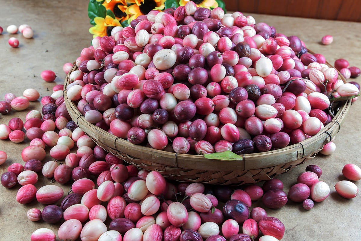 Karonda Fruit
