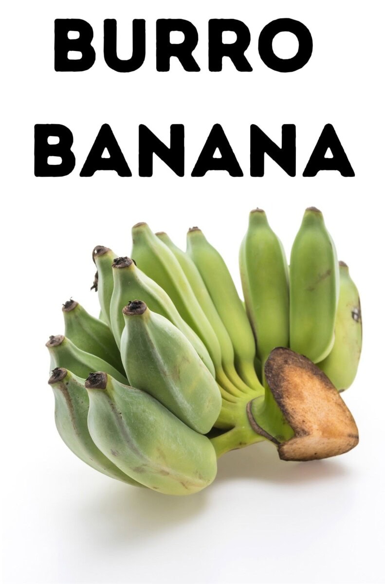 Burro Bananas Healthier Steps