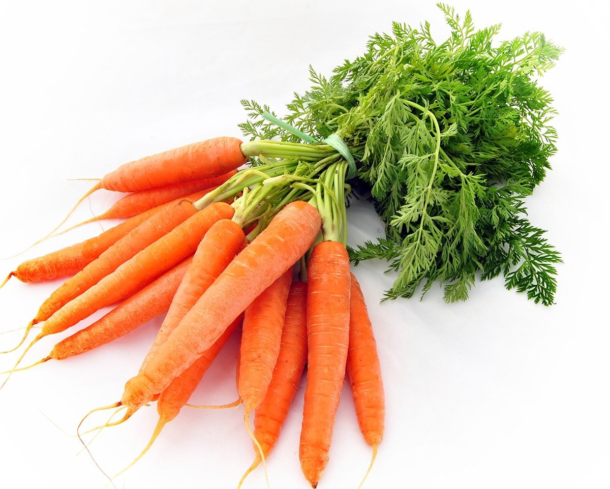 white root vegetable looks like a carrot