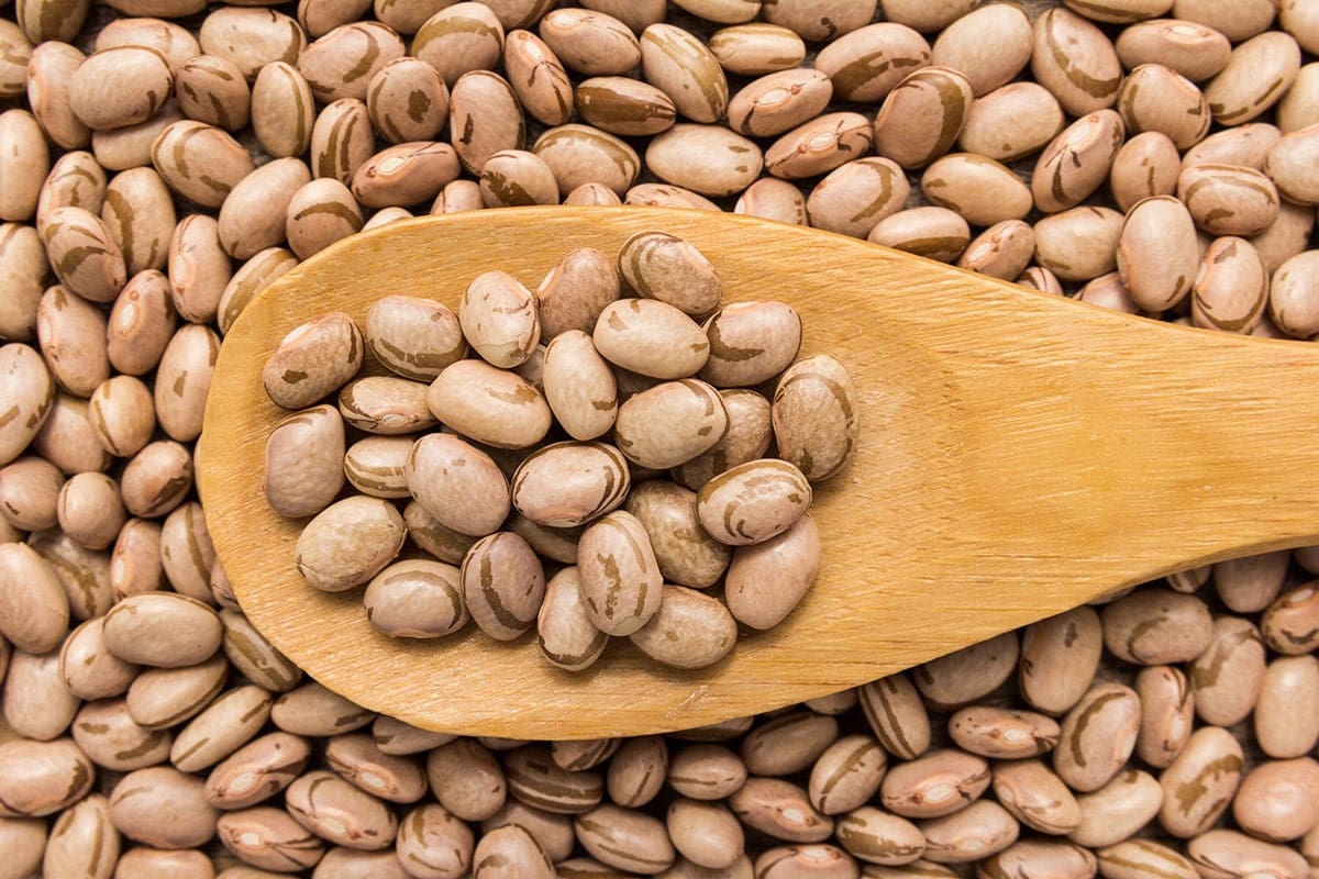 dried pinto beans in wooden spoon