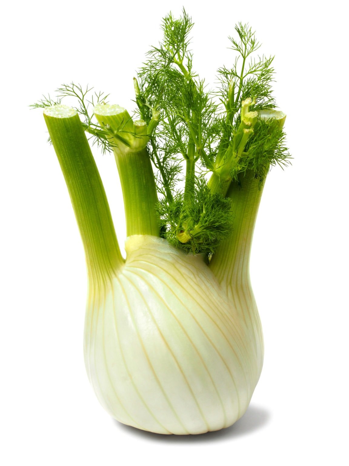 Fennel Bulb Healthier Steps