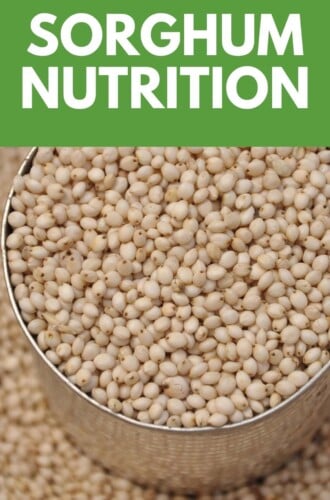 Sorghum Nutrition - Healthier Steps