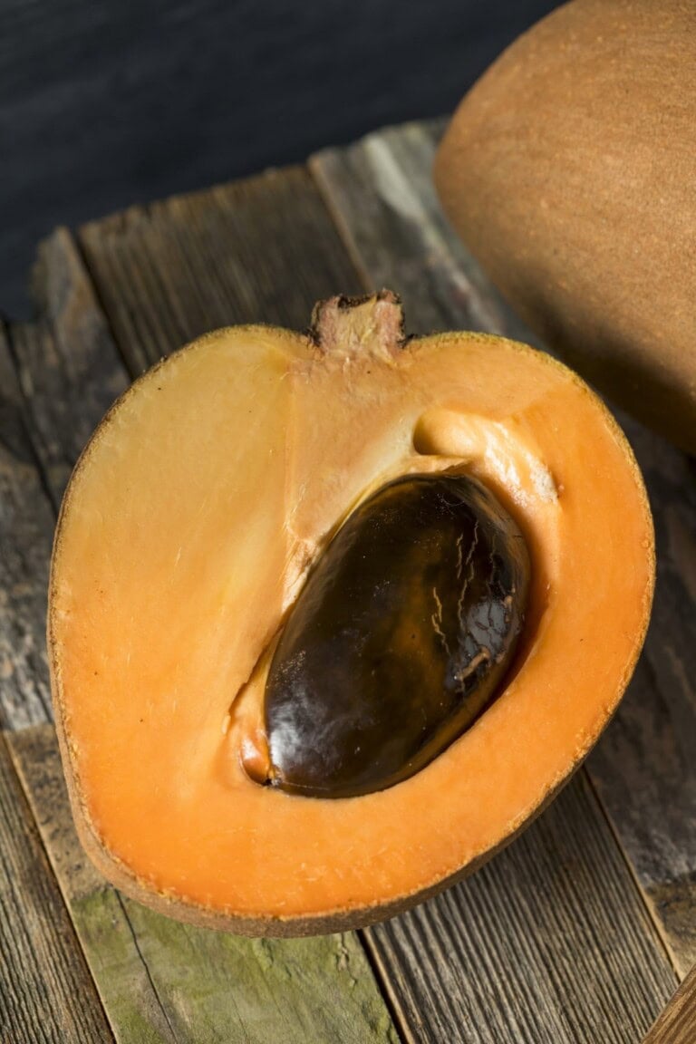 Mamey Sapote