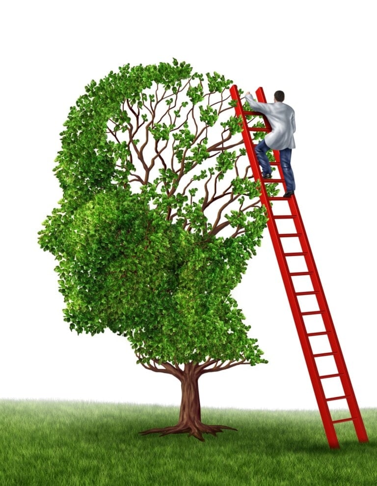 Best Brain Supplements