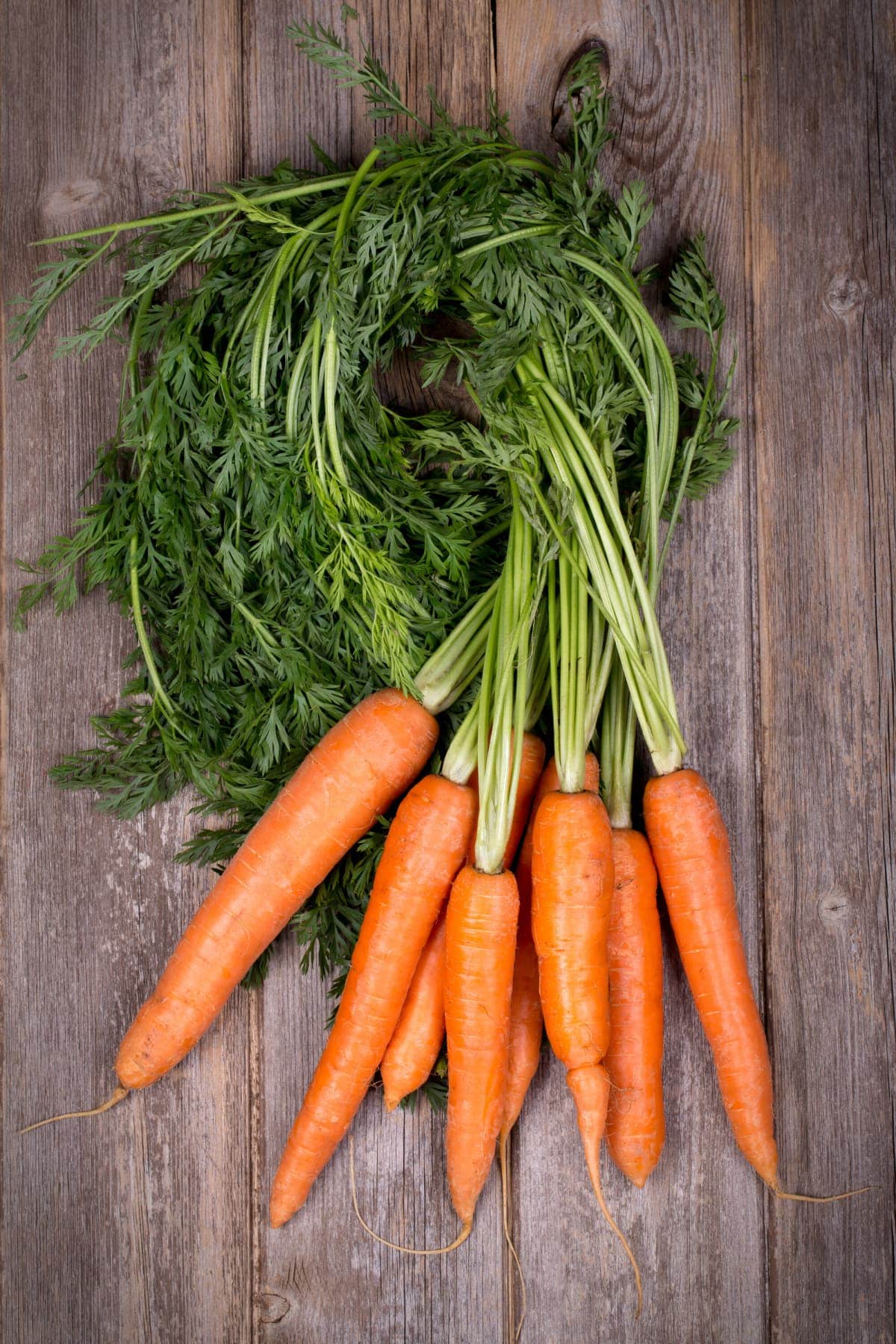 Carrots on a brown background