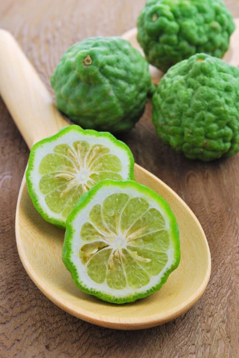 Kaffir Lime vs Lime