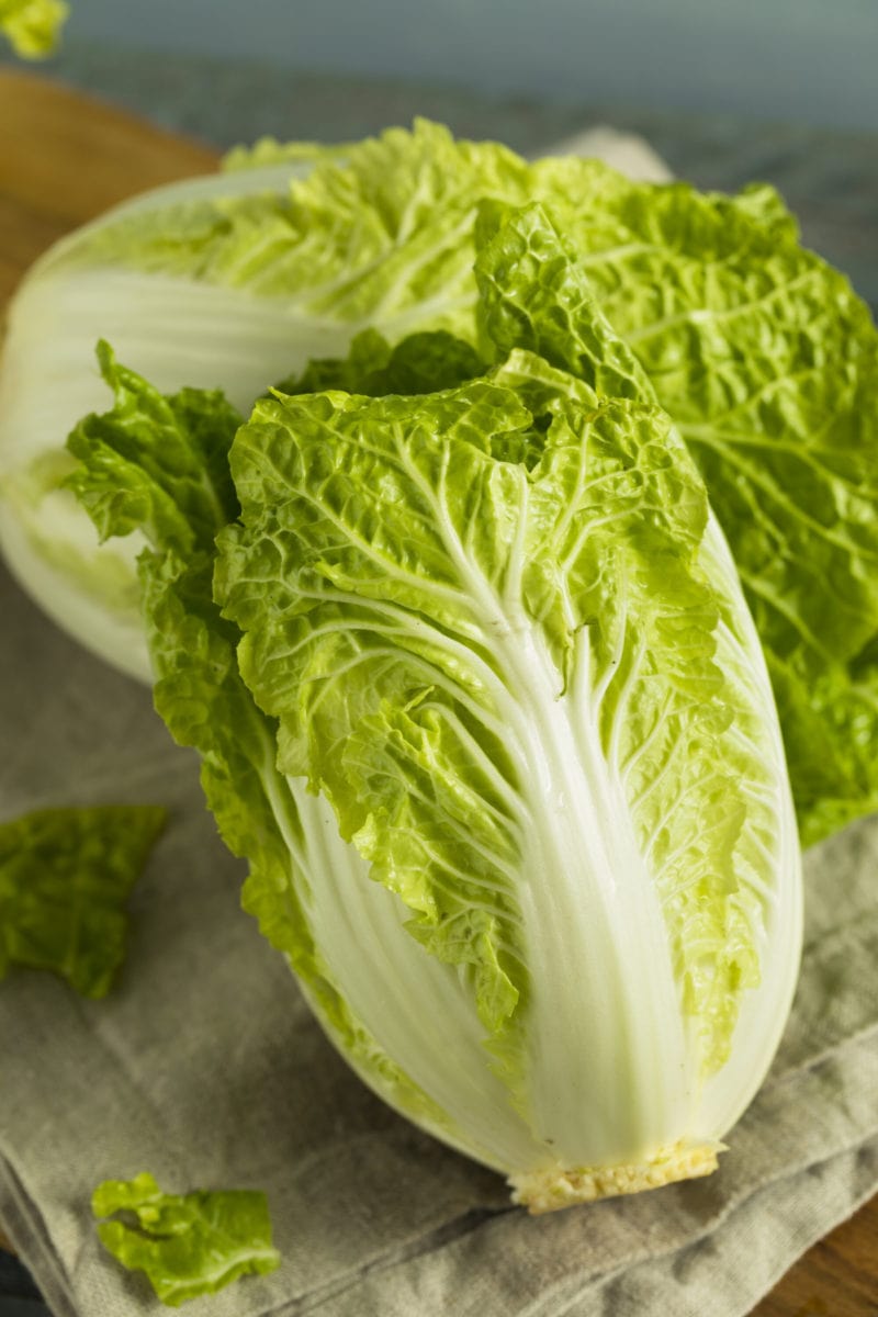 What Is Napa Cabbage? Healthier Steps