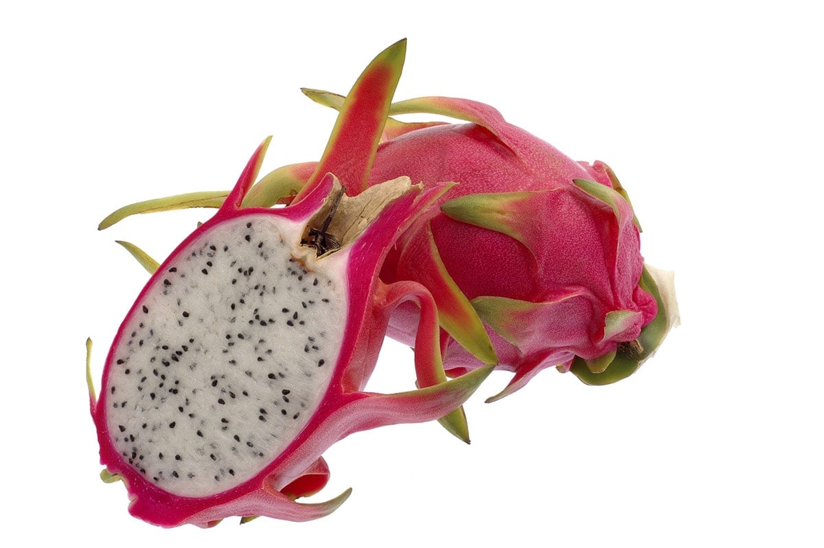 Dragon Fruit Plant Care: How to Grow Dragon Fruit (Pitaya) - Planet Natural