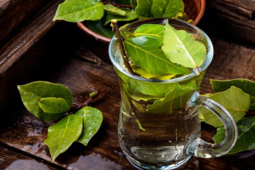 10 Benefits of Bay Leaf Tea - Healthier Steps
