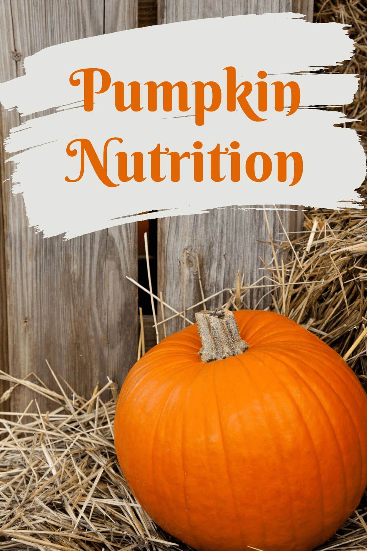 pumpkin-nutrition-healthier-steps