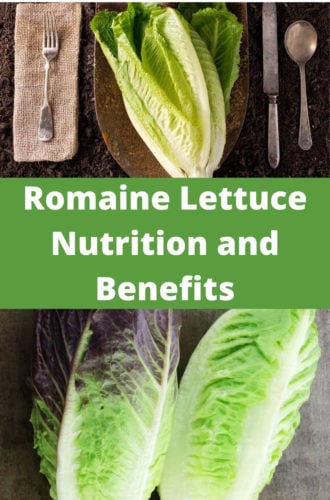 romaine lettuce nutritional value