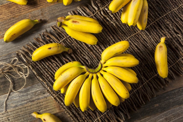Best Fruits for Lowering Cholesterol - Healthier Steps