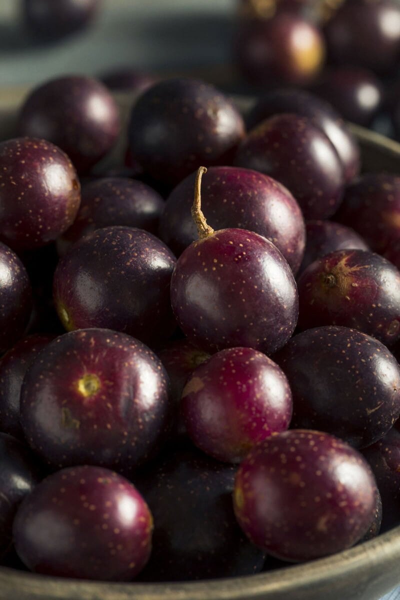 Muscadine Grapes Benefits Healthier Steps
