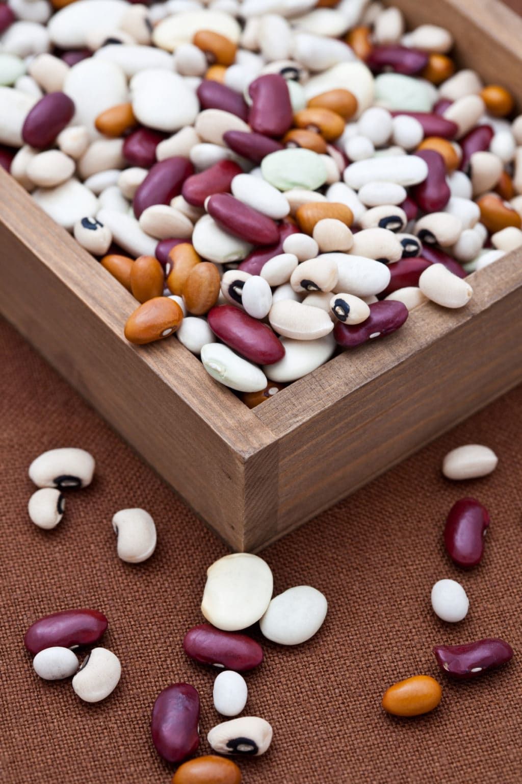 Are Beans Healthy? Healthier Steps