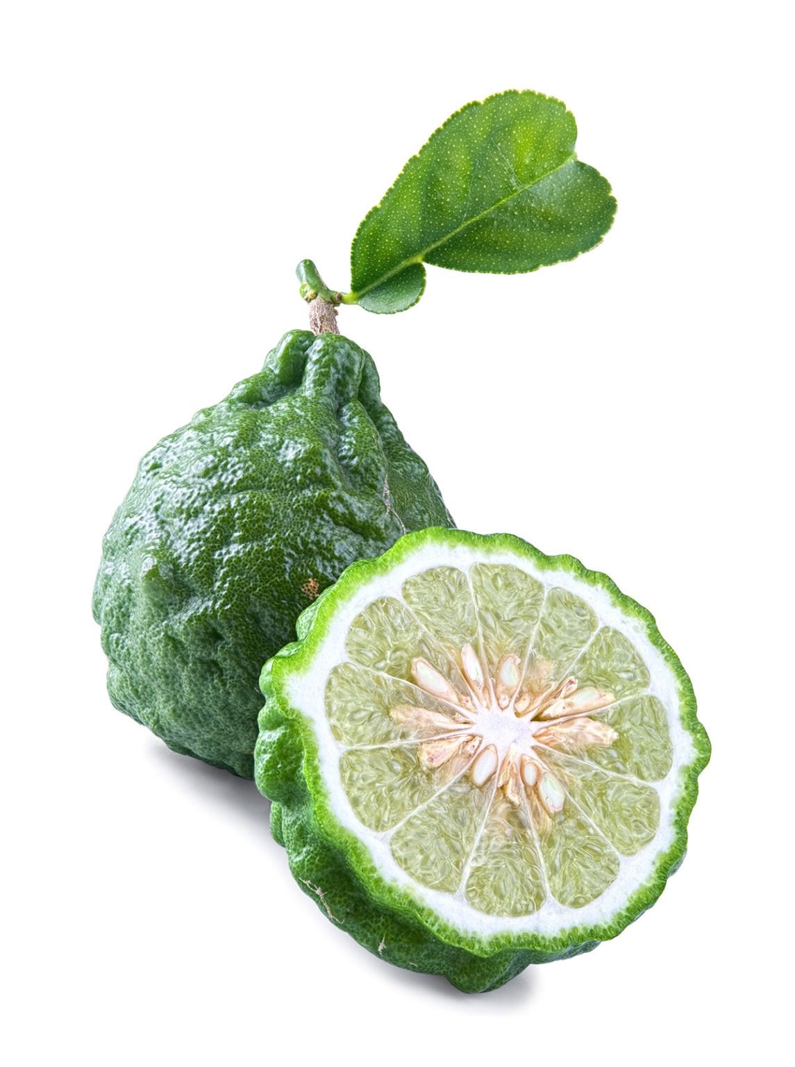 12 Amazing Kaffir Lime Benefits Healthier Steps