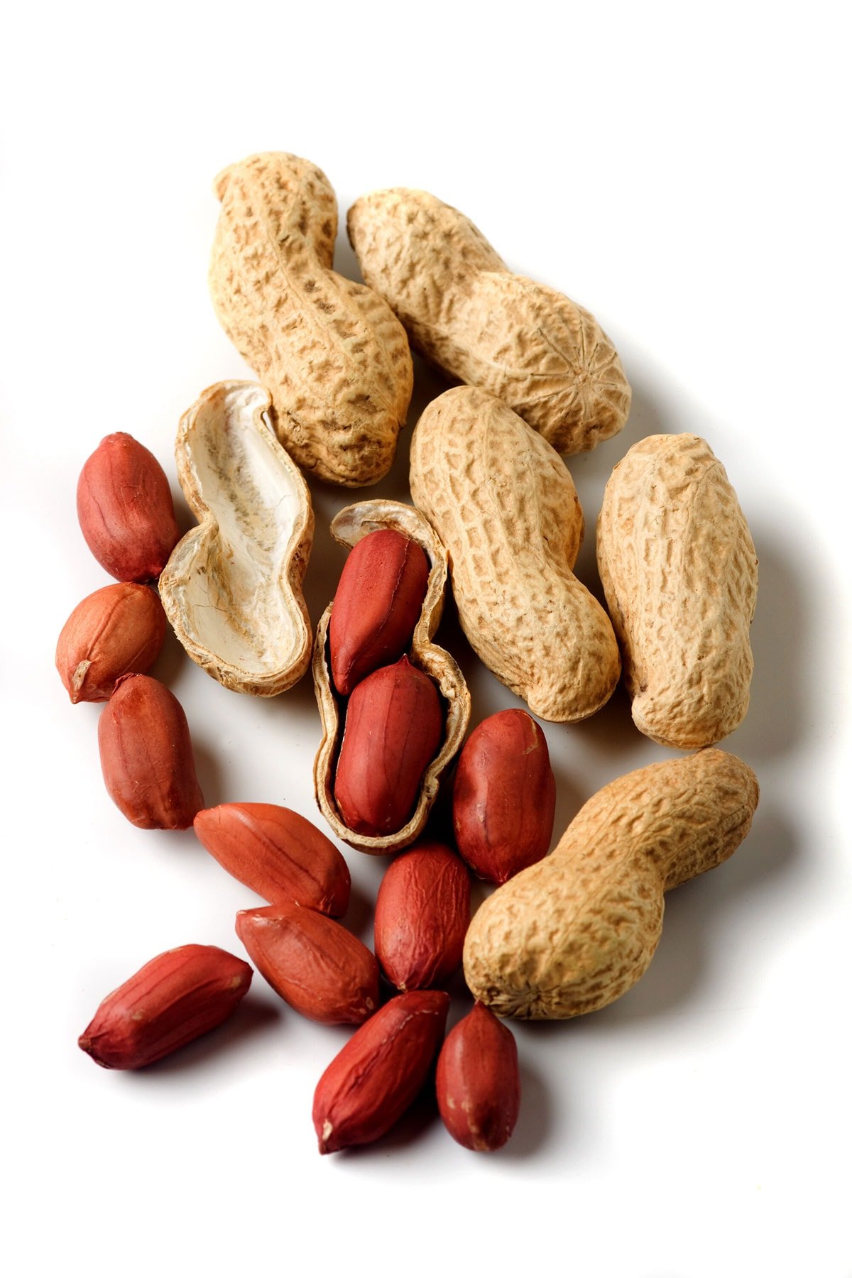 Peanuts on white background
