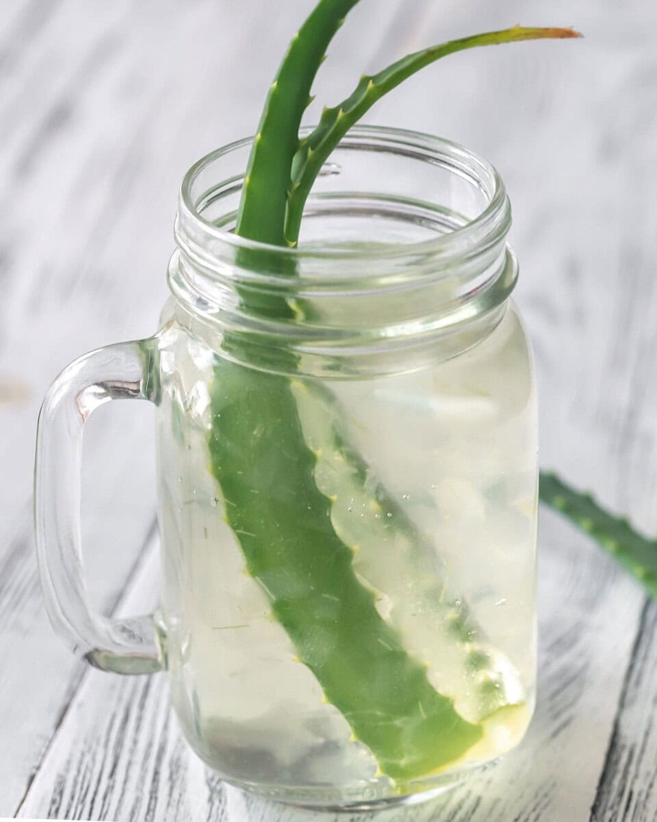 Aloe Vera For Acid Reflux Does it help? Healthier Steps