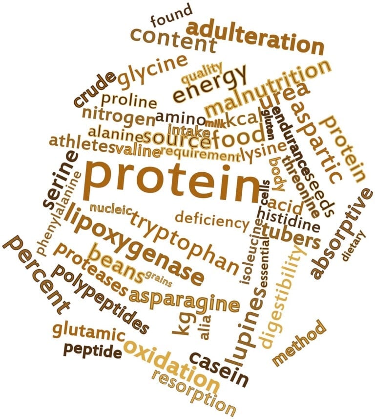 Symptoms of Low Protein
