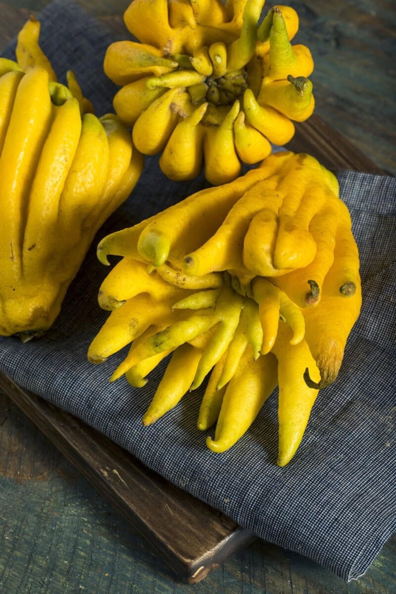 Buddha's Hand Fruit Healthier Steps