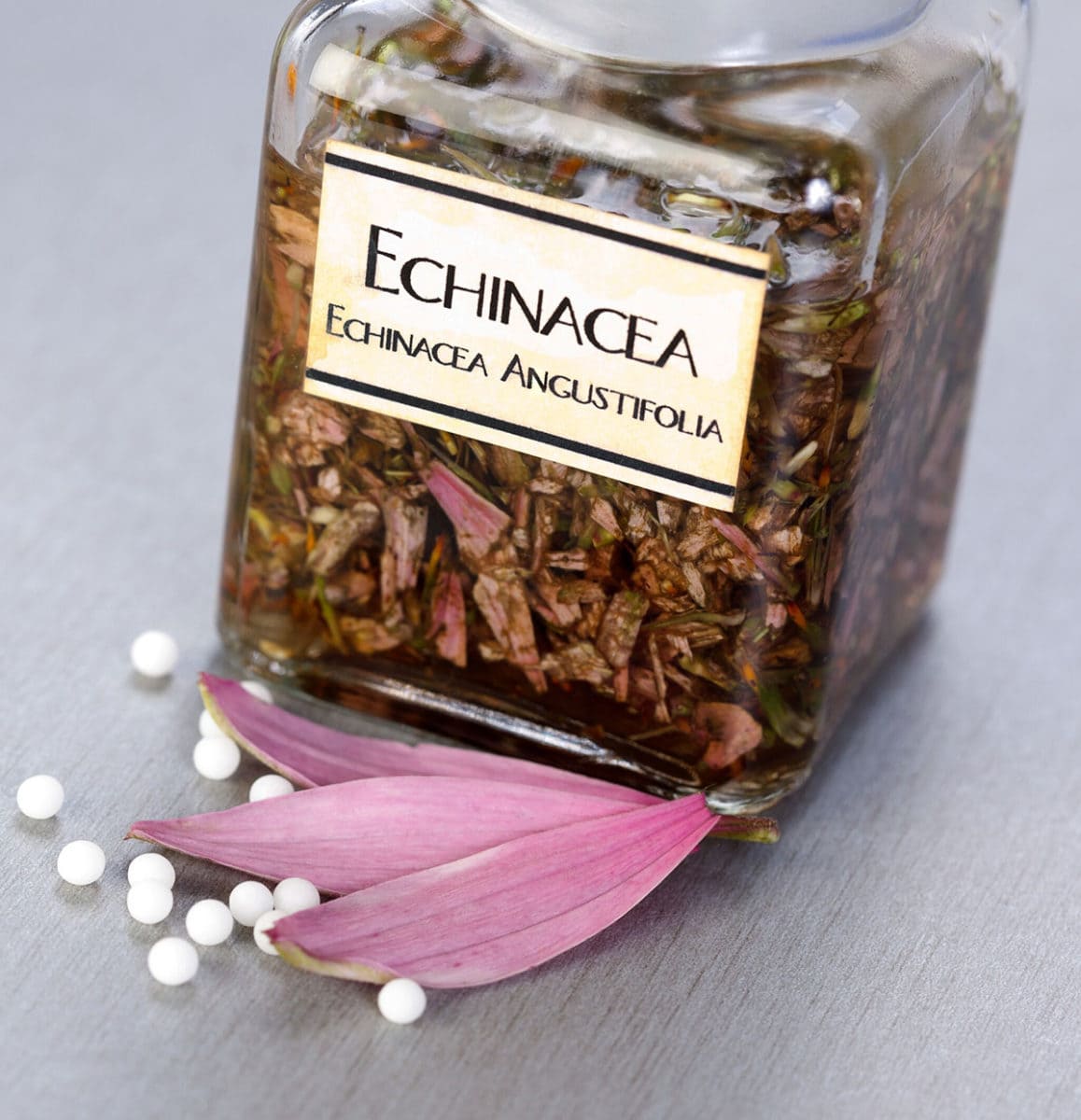 11 Proven Echinacea Tea Benefits Healthier Steps