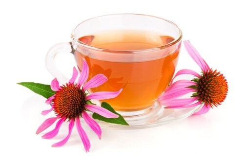 11 Proven Echinacea Tea Benefits - Healthier Steps