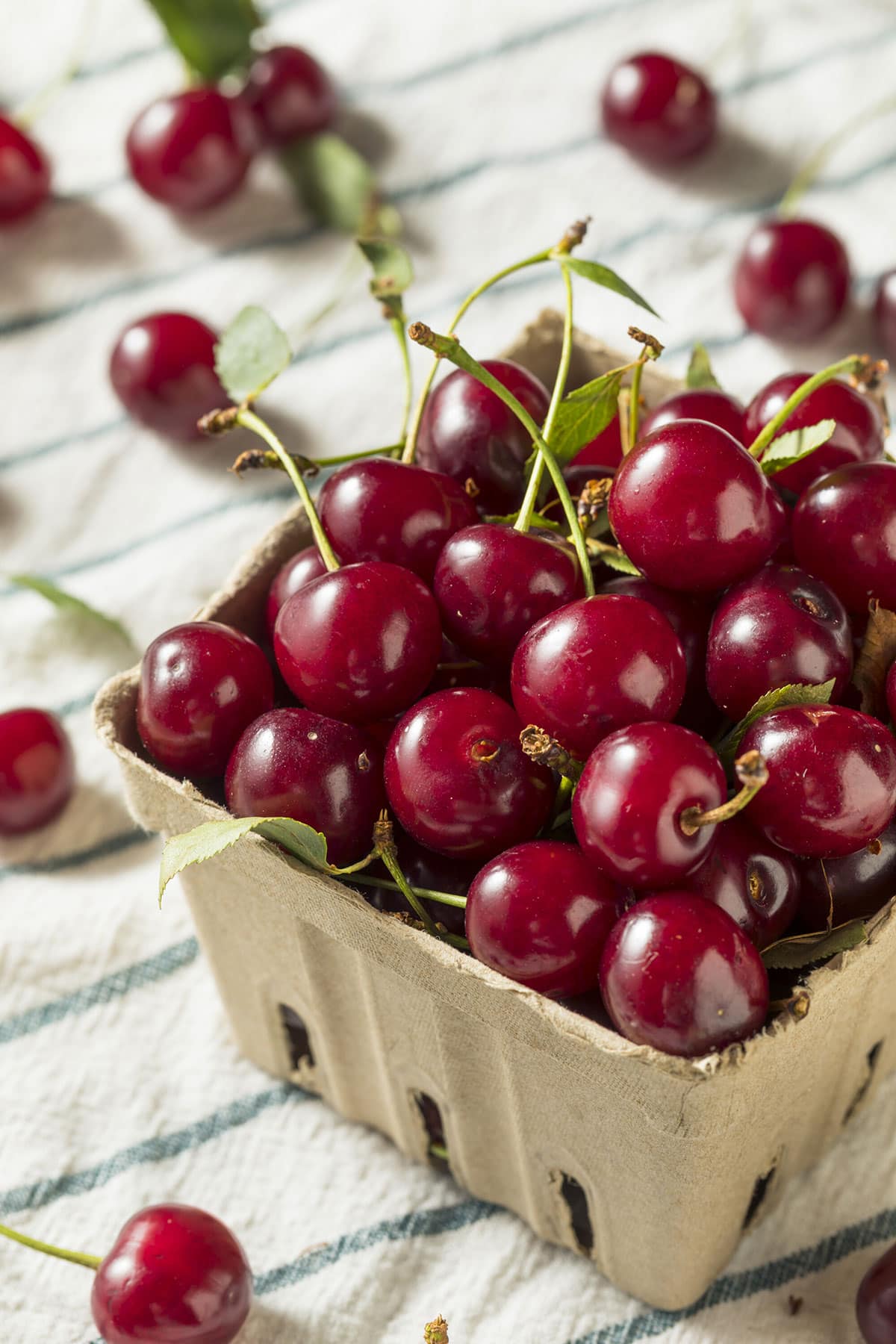 The Benefits Of Tart Cherries Healthier Steps The Benefits Of Tart Cherries Healthier Steps