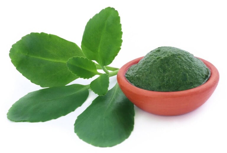 Leaf Of Life Benefits