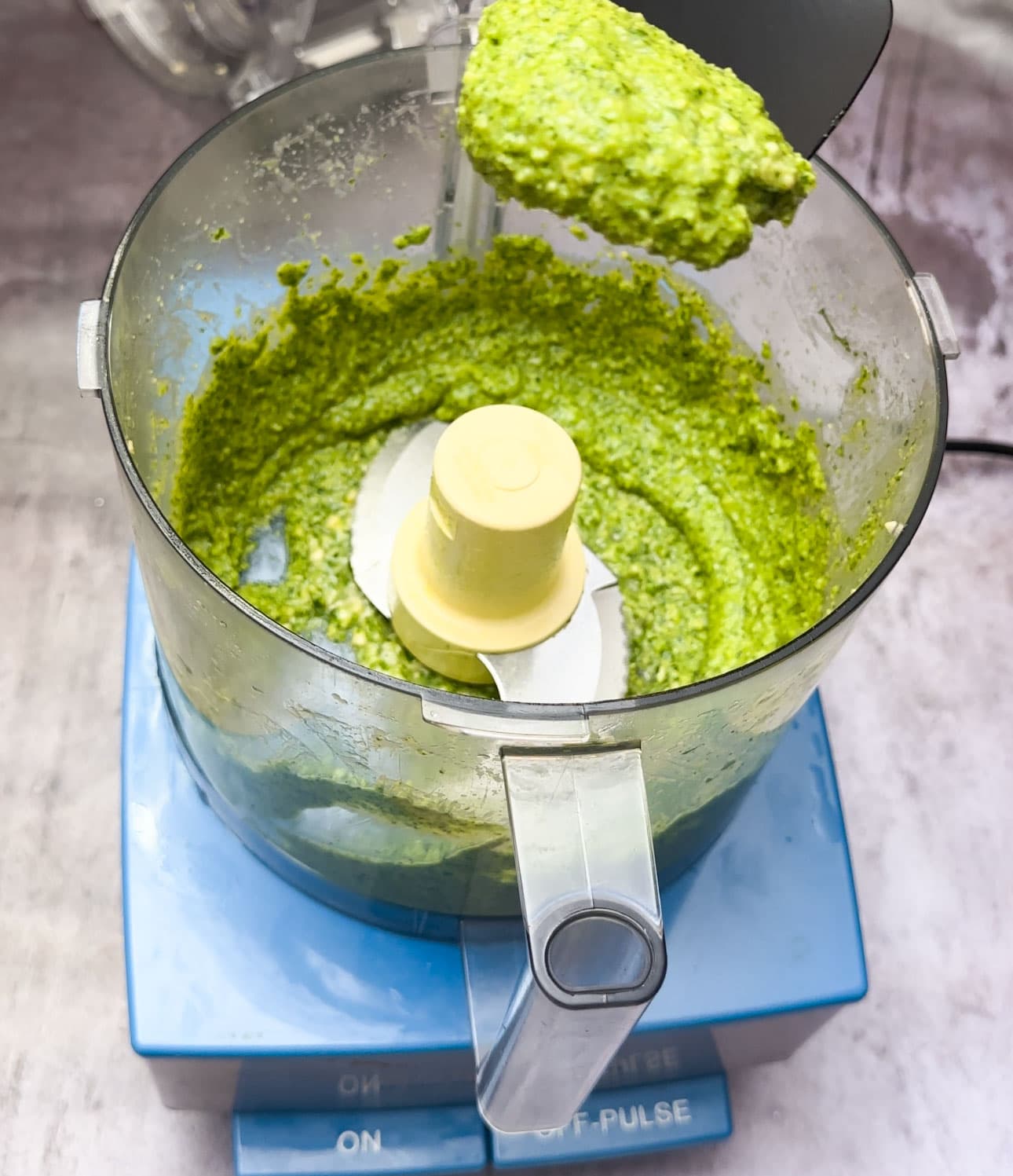 Processed cilantro pesto in food processor