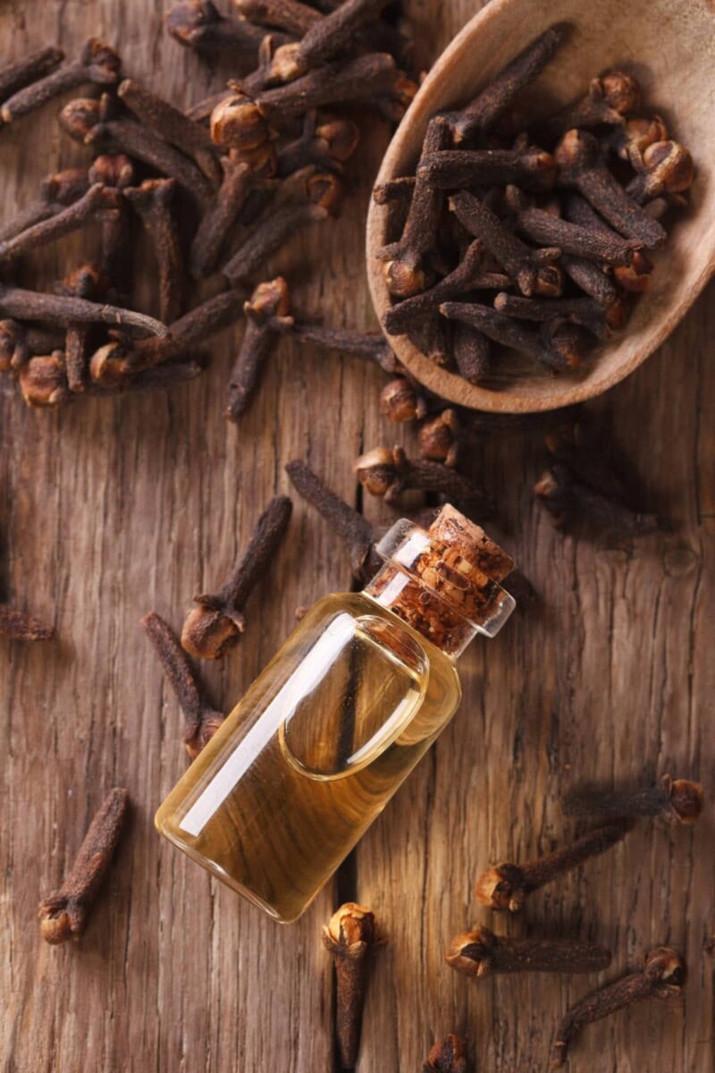 9 Incredible Health Benefits of Cloves Healthier Steps