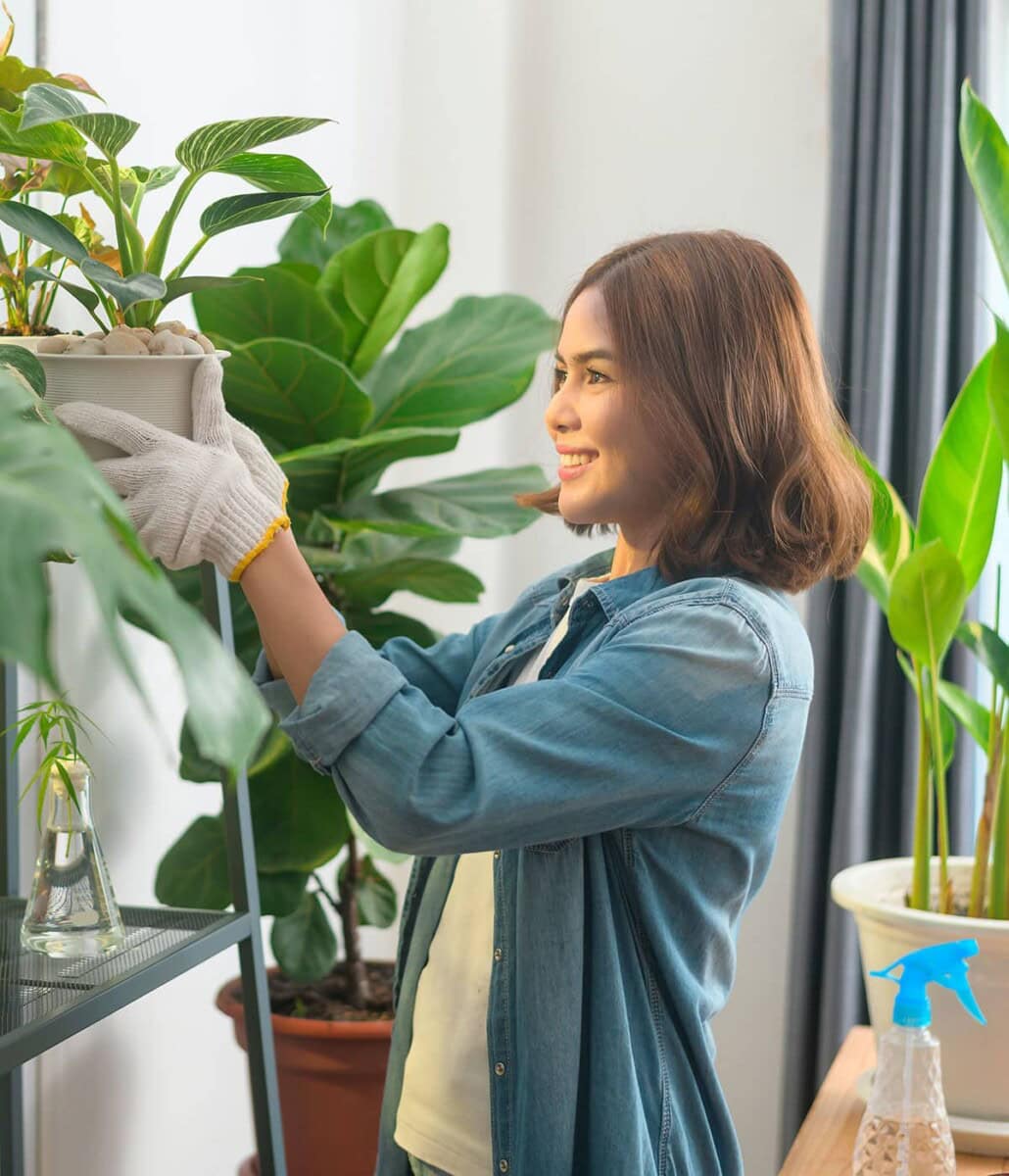 View of Tips On How To Start Gardening In Your Apartment - Healthier Steps
