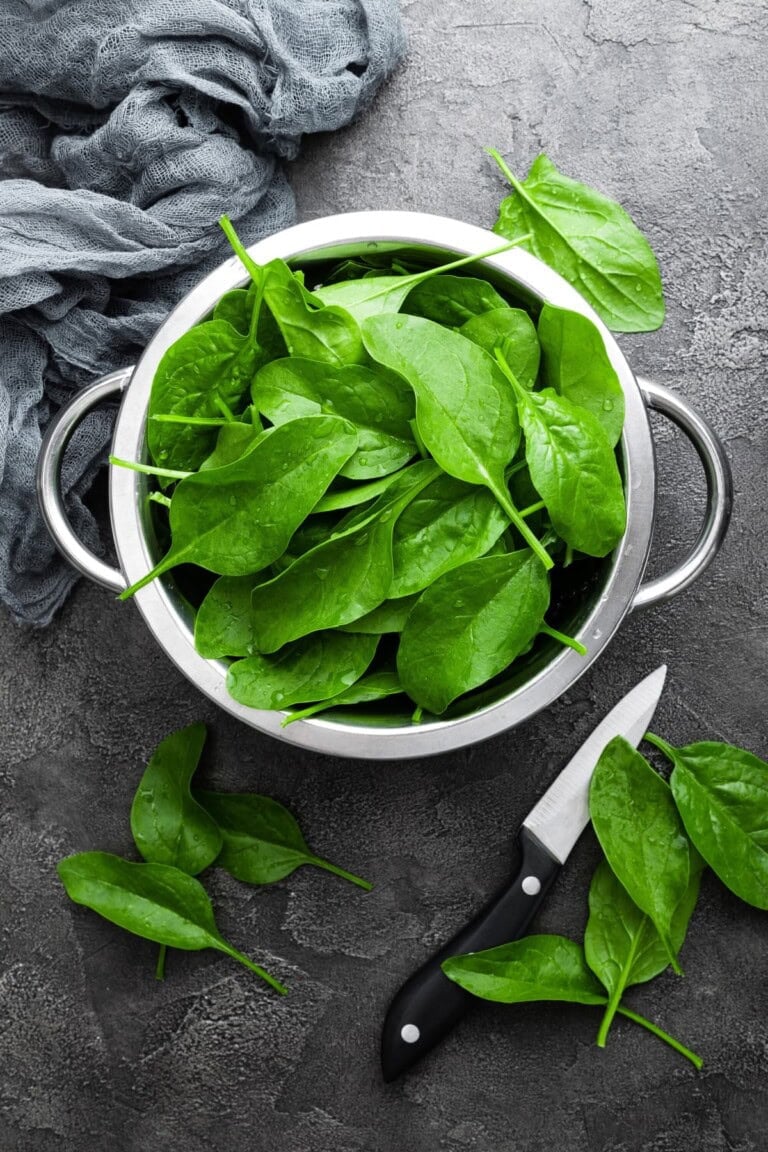 How Many Carbs in Spinach?