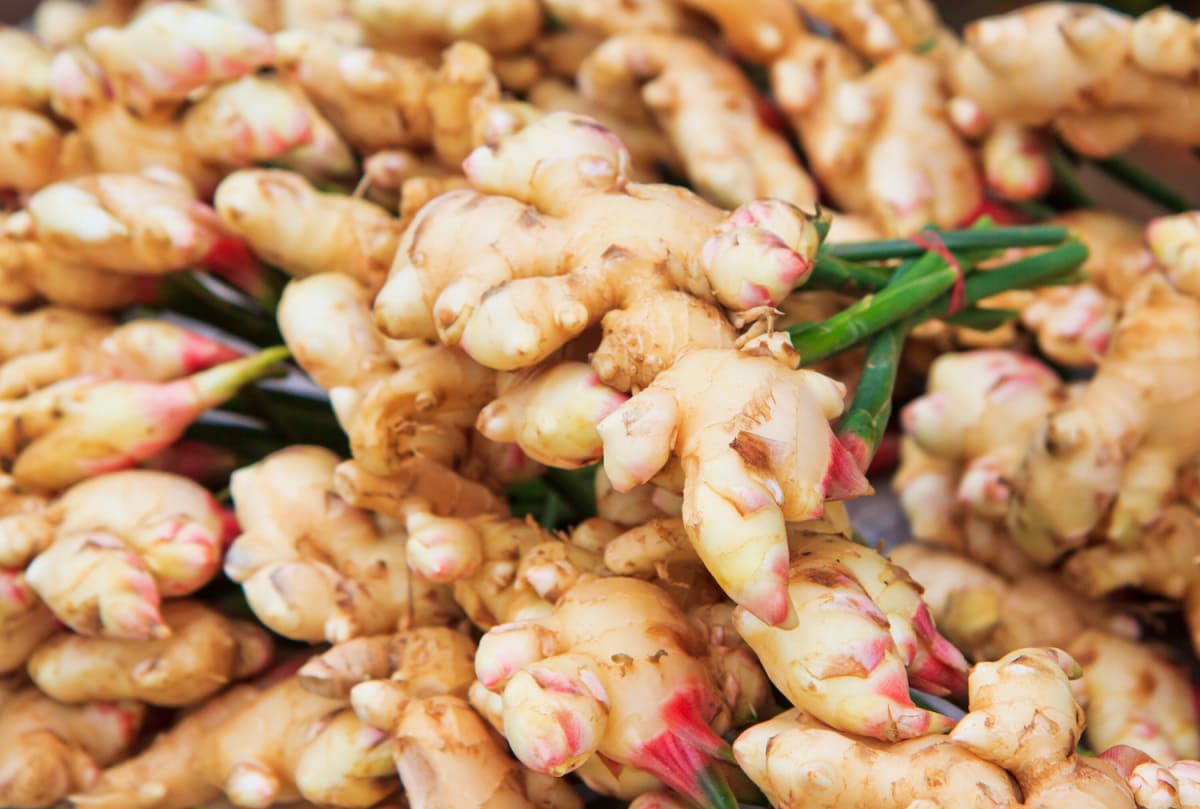 Is Ginger Good For Acid Reflux? Healthier Steps