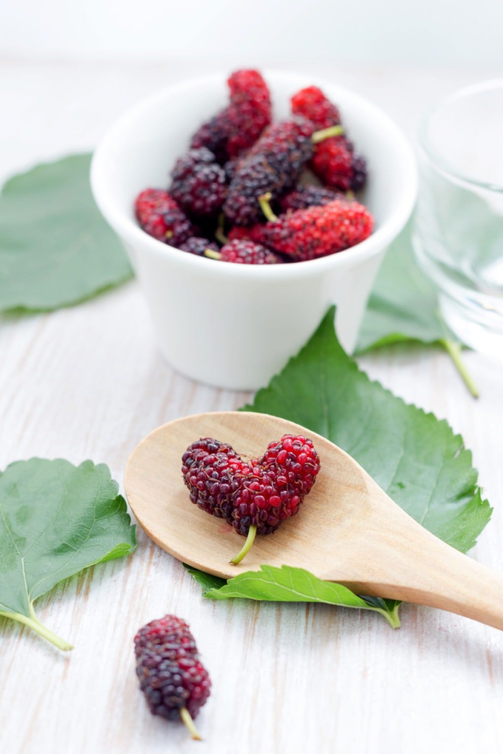 Amazing Mulberry Benefits for Skin Health Healthier Steps