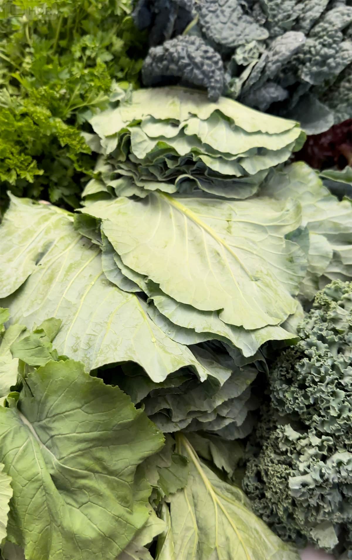 Bunches of organic produce from local organic farm